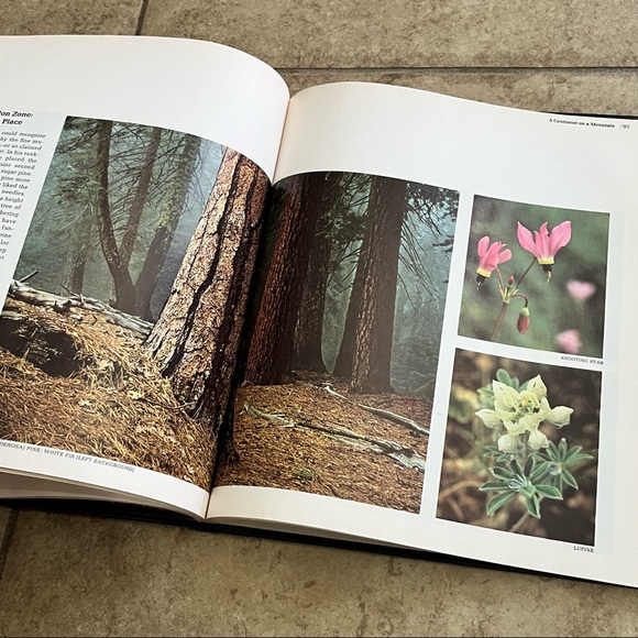 American Wilderness Ser.: The High Sierra by Ezra Bowen (1972, Hardcover) - Picture 5 of 9